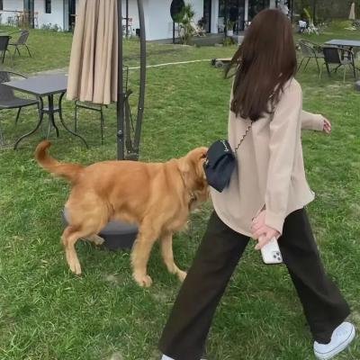 《隐藏月光》海报